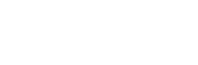 Visulution